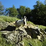 Rifugium בית כפרי גרבה אין קיאנטי
