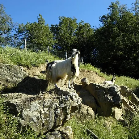 Rifugium Landhuis Greve in Chianti